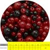 150 peças 3-8mm furo reto abs pérolas redondas imitação de contas para fazer joias