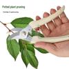 Stainless Steel Pruning Shears for Flower, Branch, and Fruit Tree Grafting