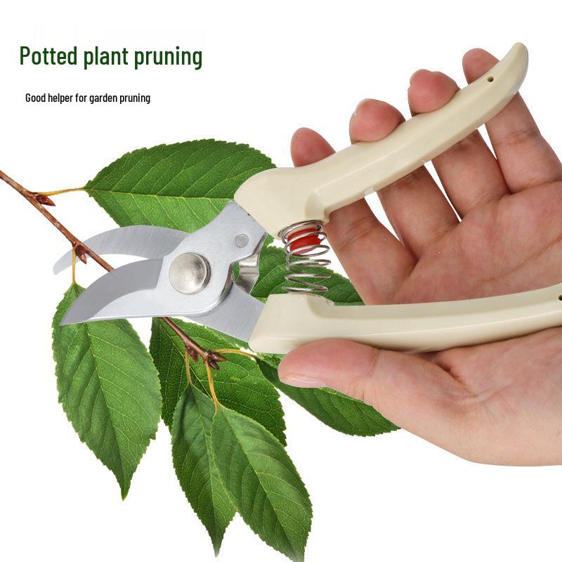 Stainless Steel Pruning Shears for Flower, Branch, and Fruit Tree Grafting