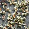 Dried Apple and Flower Tea 100g