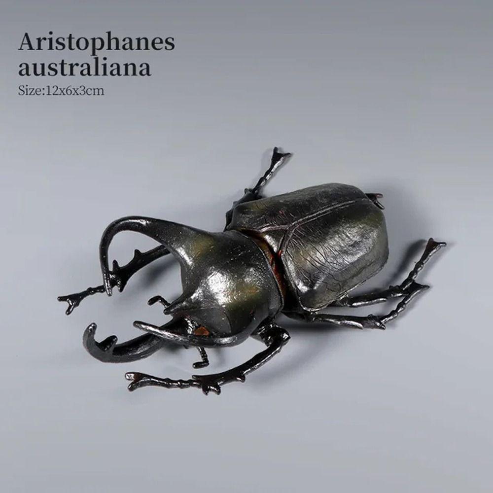 Realistic Beetle Action Figures Wild Insect Lifelike Insect Figurines For Children