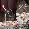 Polished Transparent Vase Container Glass Art Hydroponic Vase Ornament  Flower Arrangement