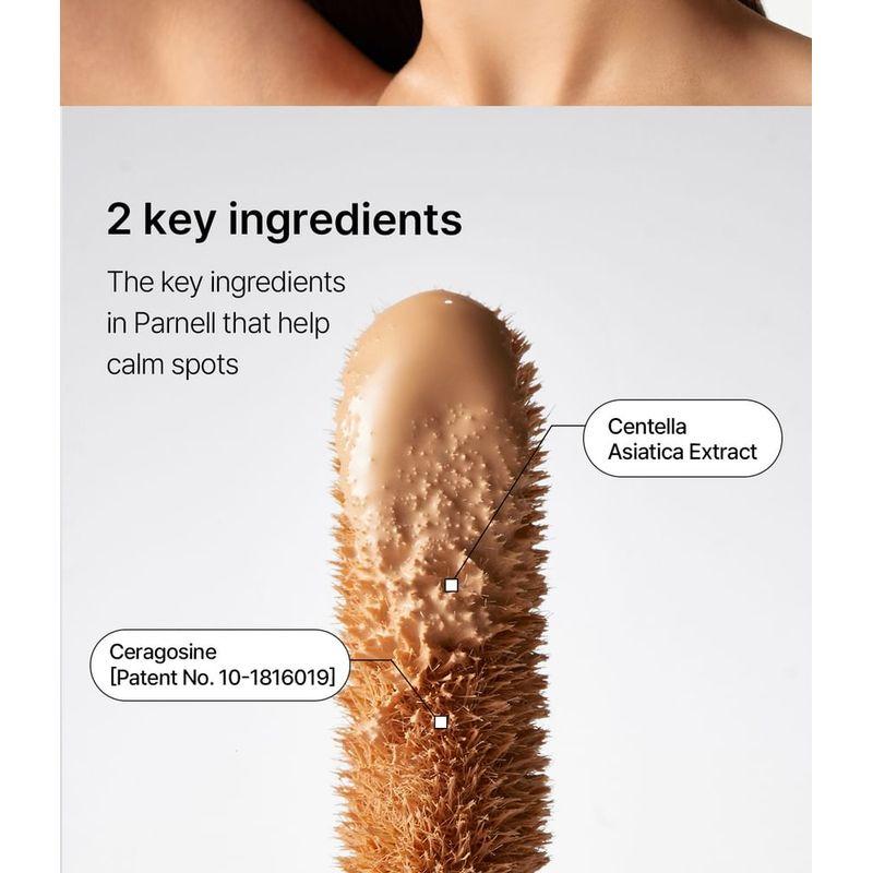 Parnell - Cicamanu Skinfit Cover Concealer - 2 Colors