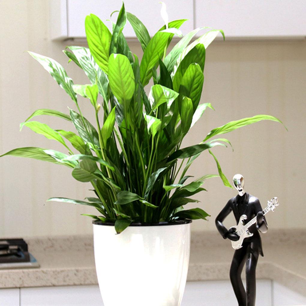 White Eco-friendly Self Watering Plant Pot For Enhancing Gardens Beauty Flower Pots Plant Pots
