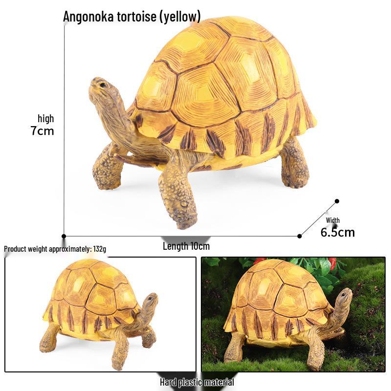 Children's Cognitive Marine Animal Models: Sea Turtle and Tortoise Toys