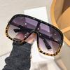 Large Frame Integrated Wind Fashion Sunglasses, High-End Casual Men'S And Women'S Windproof Sunglasses