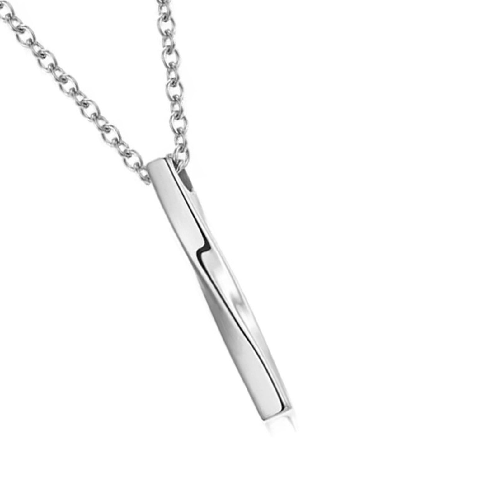 

Ожерелье в виде урны для кремации домашних животных, медальон, подвеска, памятные украшения, чтобы увековечить память о ваших любимых собаках и кошках, памятный подарок серебряный