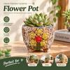 Korean Hand-Painted Relief Ceramic Succulent Pot