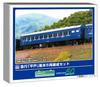 Greenmax N Gauge Express Basic Unpainted Economy Model Passenger Car 975 "Hirado" 5-Car Set, Kit, Train,