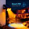 Solar Landscape Light Waterproof Wall Lamp for Driveway Garden Backyard