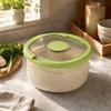 Moisture-Proof Rice Container with Hinged Lid Transparent Sealed