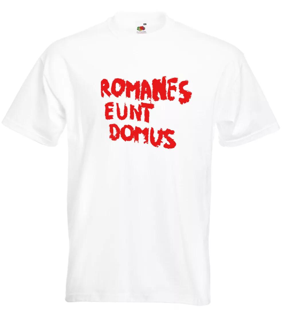 

Monty Python Inspired Romanes Eunt Domus T Shirt Romans Go Home S