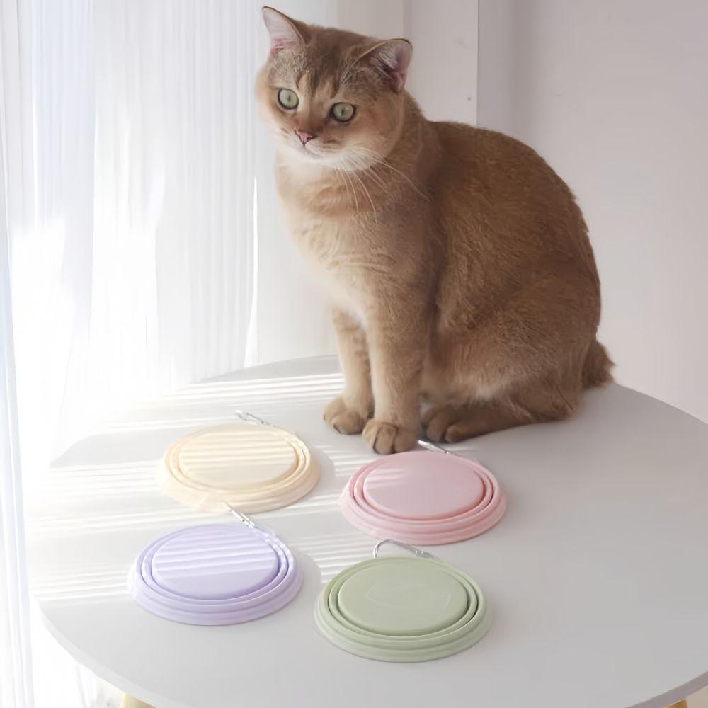 350ml Macaron Pet Bowl Cartoon Pattern TPE Portable Pet Bowl Collapsible with Hanging Holes Travel Pet Bowl Pet Feeding