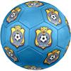 Congo DR national football logo Size 5 Soccer Ball, Machine-Stitched PVC, Durable & High Bounce, All Ages Fit, fan merchandise, matches & outdoor use.