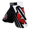 Shorts d'entraînement MMA OEING