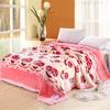 Double-Layer Raschel Blanket: Thick, Warm Crystal Velvet Cover for Autumn and Winter