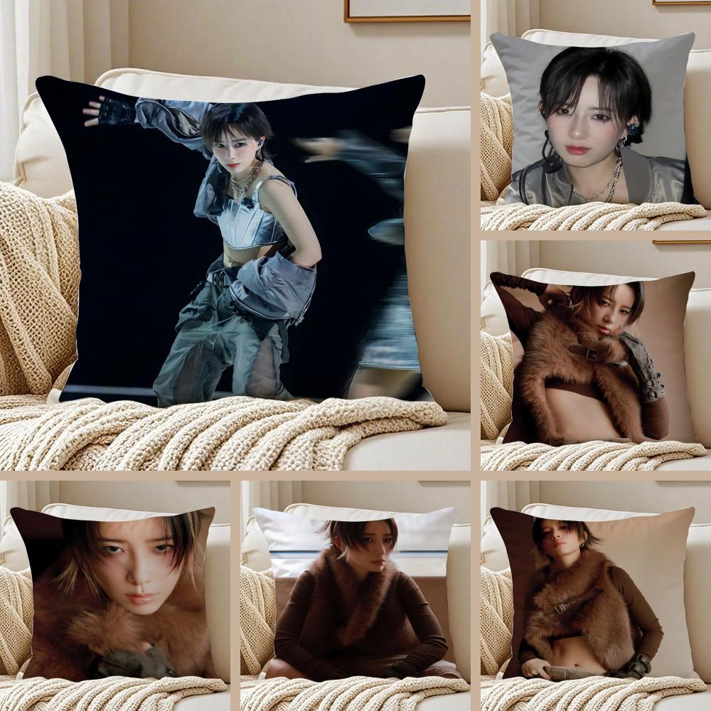 Popular fashionable Chinese singer DDanyLee Cushion Cover Pillowcase Antidustmite Invisible Zipper Short Plush Sofa Cushion
