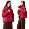Cangzhou cotton clothes fashion stand-up collar cotton clothes women's short models new winter small bread clothes thick coat