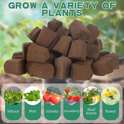 30 peças de Vaso para Mudas de Plantas Esponja de Carbono Inorgânico para Plantio Para Germinação de Sementes e Modelagem Acessórios Práticos de Jardinagem