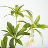 Green Artificial Tenuifolia Ficus Tree Branch Large Fake Plants  Home Garden Party Decor
