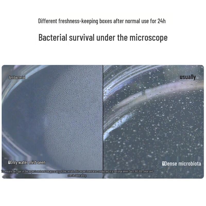 Chahua Ag+ Antibacterial Fresh-keeping Storage Box