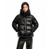 Aileiyi 2025 Star Ring Series Unisex Hooded Down Puffer Jacket