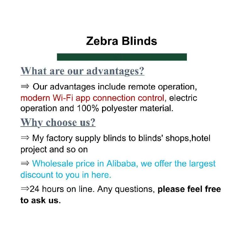 China Factory Wholesal 100% Blackout Day And Night Dual Shade WiFi APP Remote Control Smart Motorized Zebra Blinds For Window