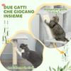 Adjustable Height Ceiling Cat Tree 225-255cm with House and Hammock, Light Grey