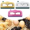 Small Poultry Egg Incubator Manual Rolling Automatic Temperature Bird Hatching Machine for Chicken Duck Quail Goose
