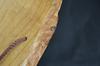 Vintage Traditional Japanese Tengu Mask for Noh / Bicchu Kagura Wall Decor