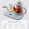 Bear 0.8L Mini Electric Glass Health & Tea Maker Set CN plug (adapter included)
