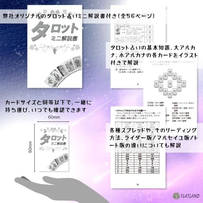 Anne Stokes Dragon Tarot, Tarot Reading Instructions, Japanese Instruction Manual Included, Authentic Tarot, 78 Cards