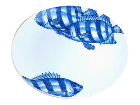 

Плоская тарелка из камня для морского леща [Arita ware] 10 дюймов