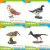 Realistic Bird Models Pvc Garden Decor Collection With Magpie Parrots And Owl Animal Figurines For Landscaping And Home Decoration