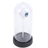LED Color Night Light with Eyeball Decor Spooky Theme Lighting Ornament for Festival Party Scene Setting