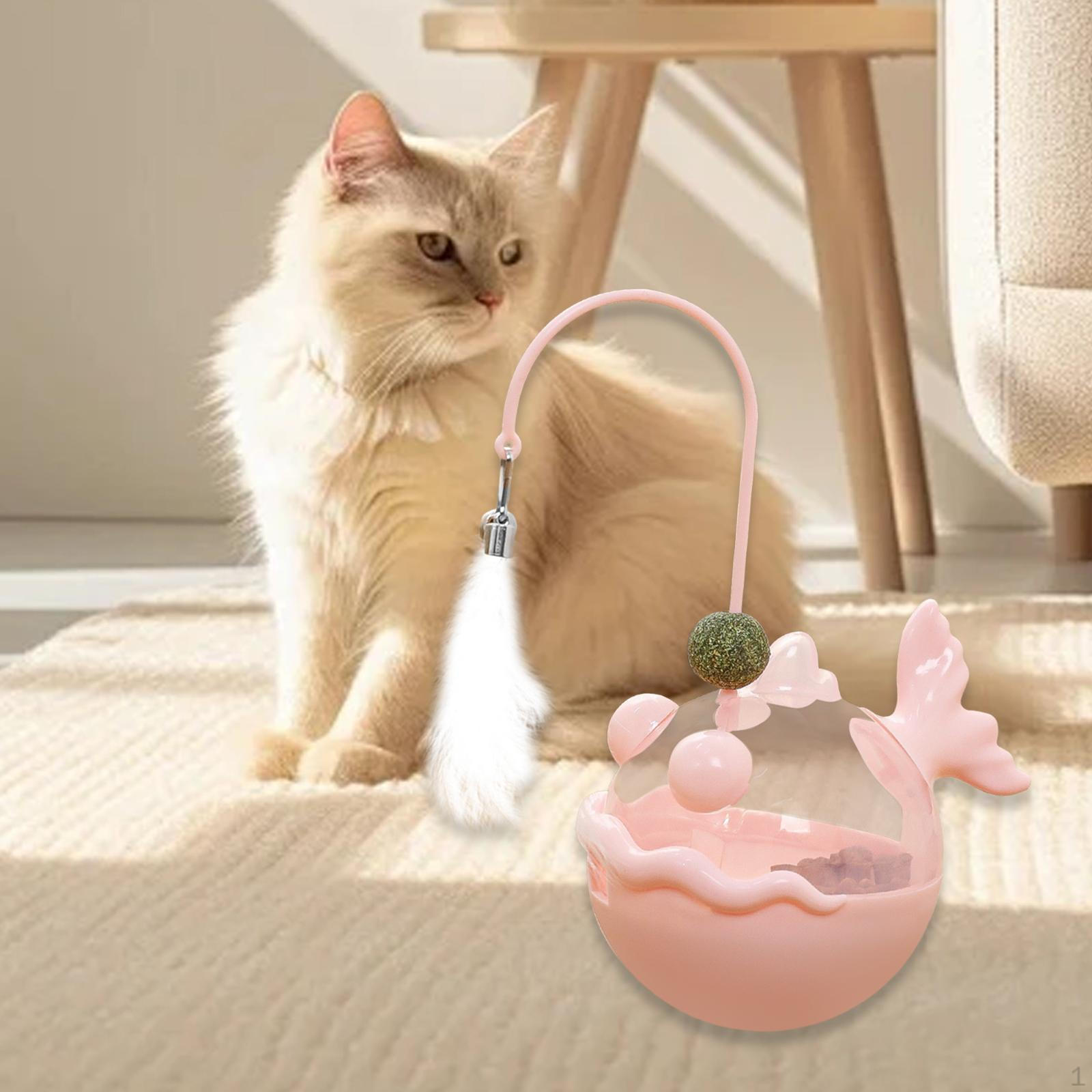 

Cat Activity Ball with Treat Dispenser for Indoor Play Violet