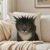 Funny And Interesting Animals Funs Cushion Cover Pillowcase Antidustmite Living Room Sofa Decor Cushion Room