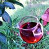2010 Bulang Mountain Palace Shu Puerh Tea Menghai Qizi Mellow Scent Ripe Puerh Tea 320g