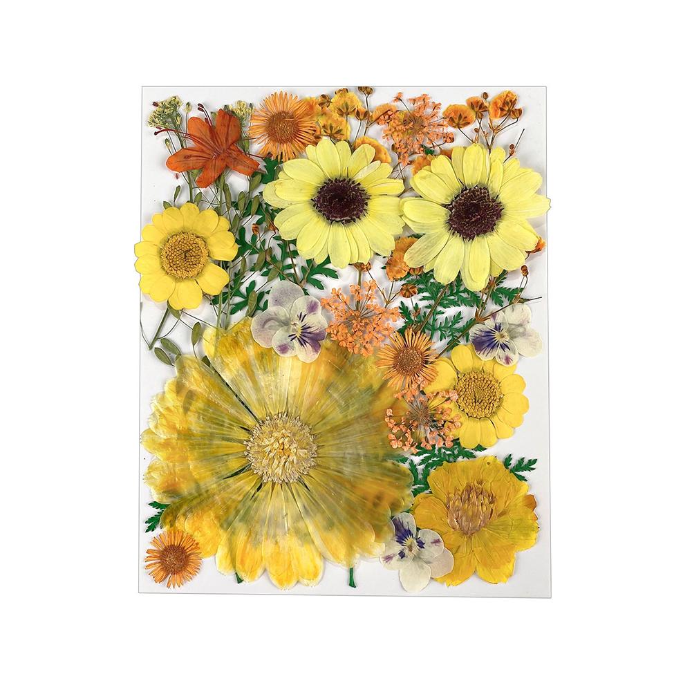 1 Pack Dried Flowers Decoration Embossing Flowers Handmade Flower Material Natural Dry Flowers Candle For Making Crafts Nail Art Decoration