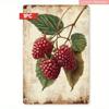 Metal Wall Art Poster, Vintage Raspberry Kitchen Decor