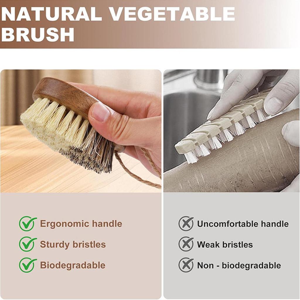 Natural Solid Wood Kitchen Cleaning Brush Dual Bristle Fruit Vegetable Scrub Brush Dish Pot Sink Scrubber with Hanging Rope for Potato Carrot Cookware