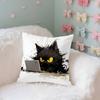 Whimsical Cat Art Case Plush Fabric Soft Pillowcase Double Sided Print Cushion Cover Household Gifts
