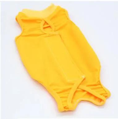 Cat Surgical Suit Postoperative Sterilization Suit Anti Licking and Anti Stripping Pet Summer Cat and Dog Universal Pet Clothing