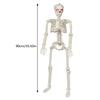 Movable Joints Halloween Skeleton Glowing Eyes Scary Sound Posable Skeleton Adjust Joints Simulation Decoration Skeleton