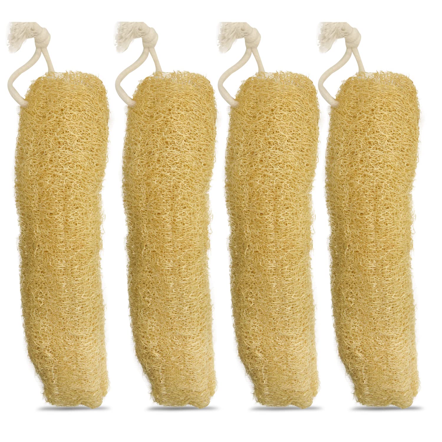 Indigenous Living Natural Loofah Sponge -