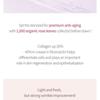 MIGUHARA - Rose Collagen Intensive Eye Gel Serum