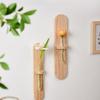 Wooden Wall Mounted Planter Vase Water Plant Tube Stand Wall Decoration  Wall Decoration