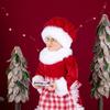 Christmas Baker Mrs. Claus Plush Ornament