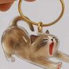 Transparent Acrylic Keychain Cat Hair Storage Capsule Dog Hair Storage Container  Memorial Key Ring
