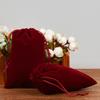 Velvet Drawstring Jewelry & Earphone Storage Bag
